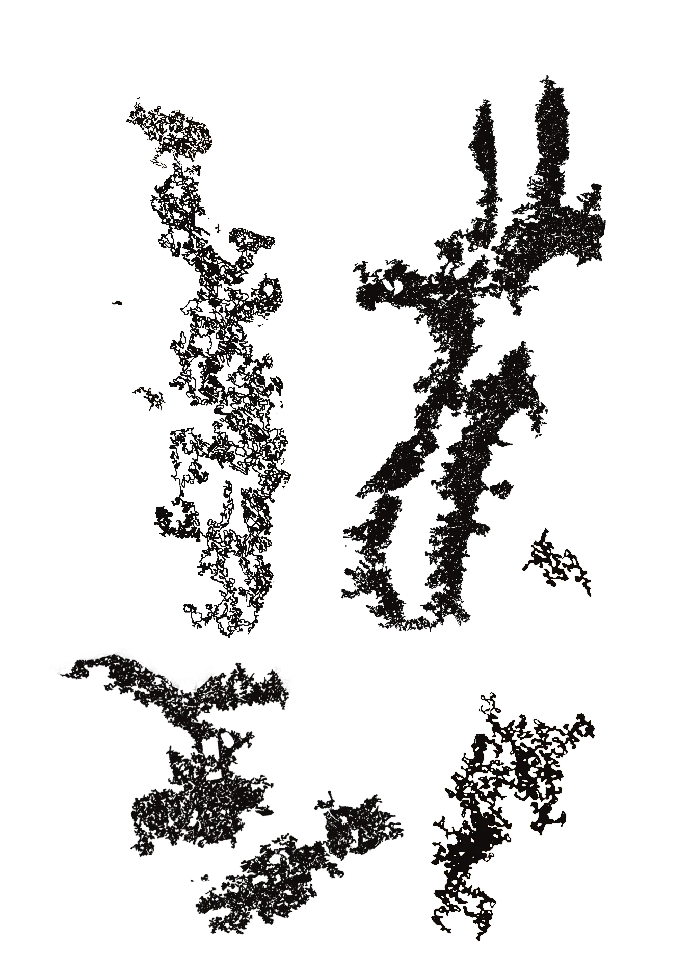 Dense scribbled ink masses forming branching shapes