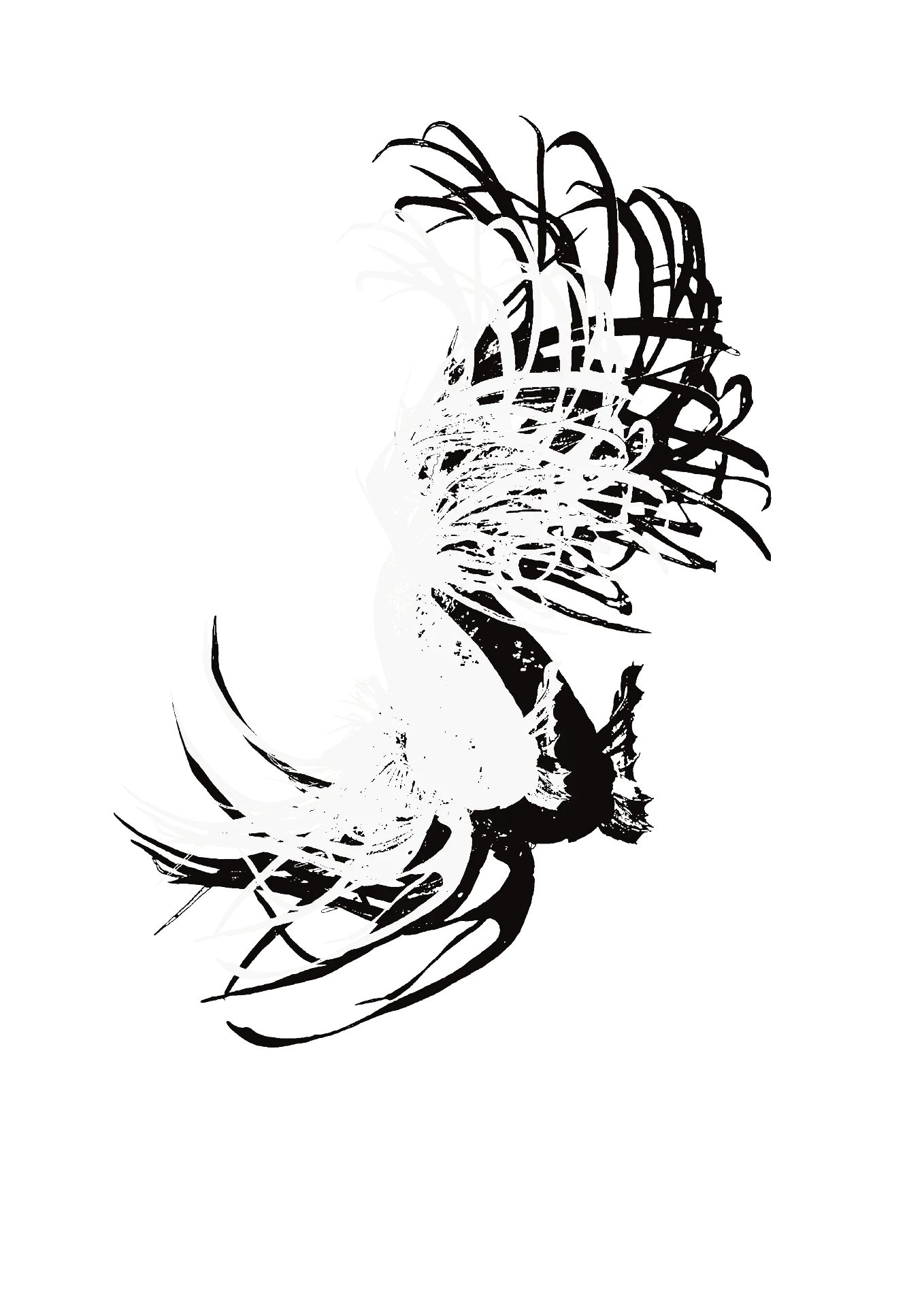 Brushed ink bird in black and white strokes