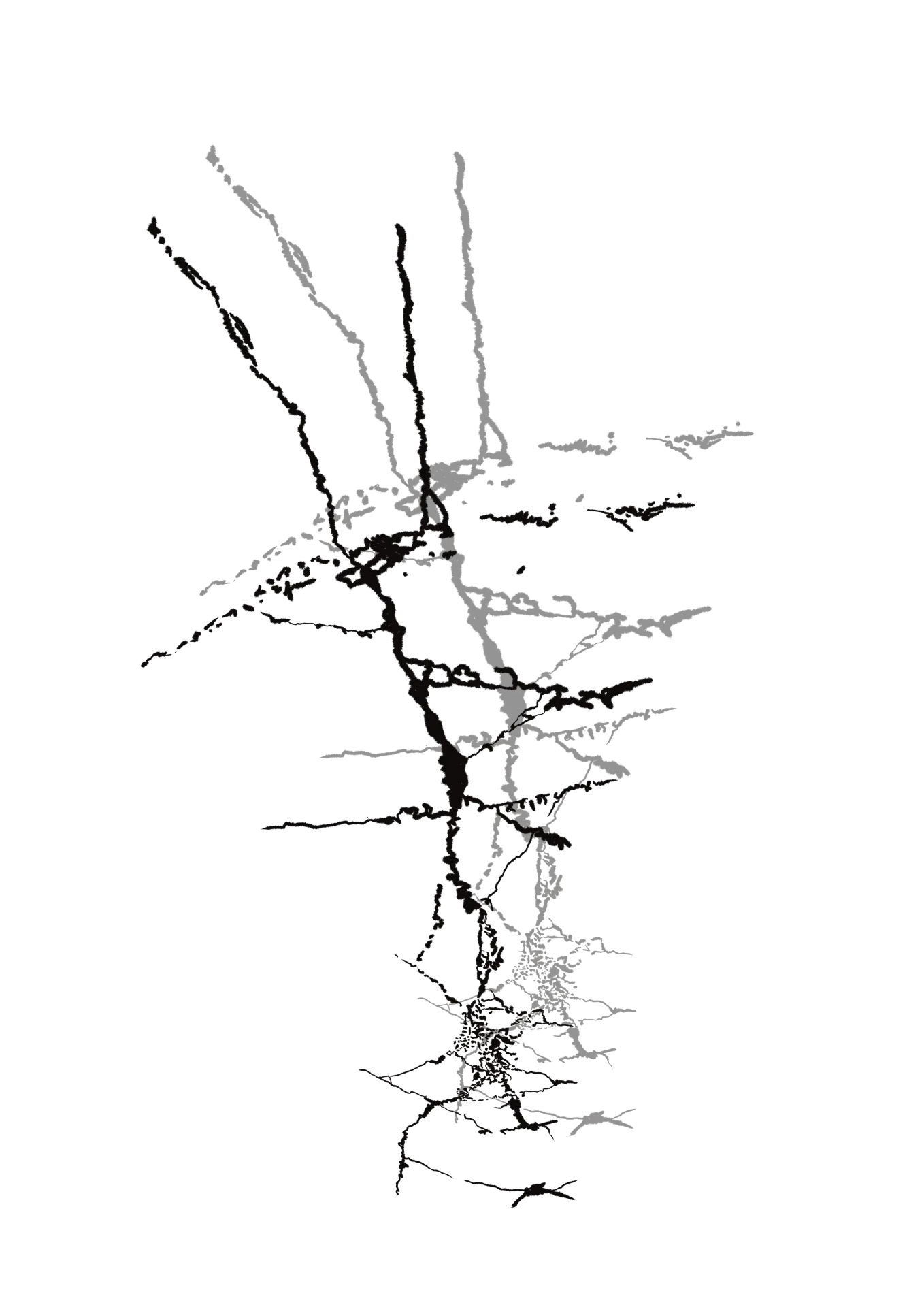 Sparse branching ink drawing