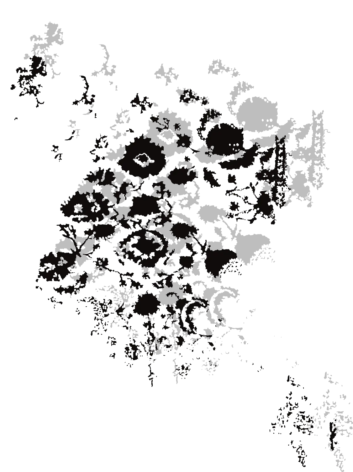 Floral ink composition in black and grey