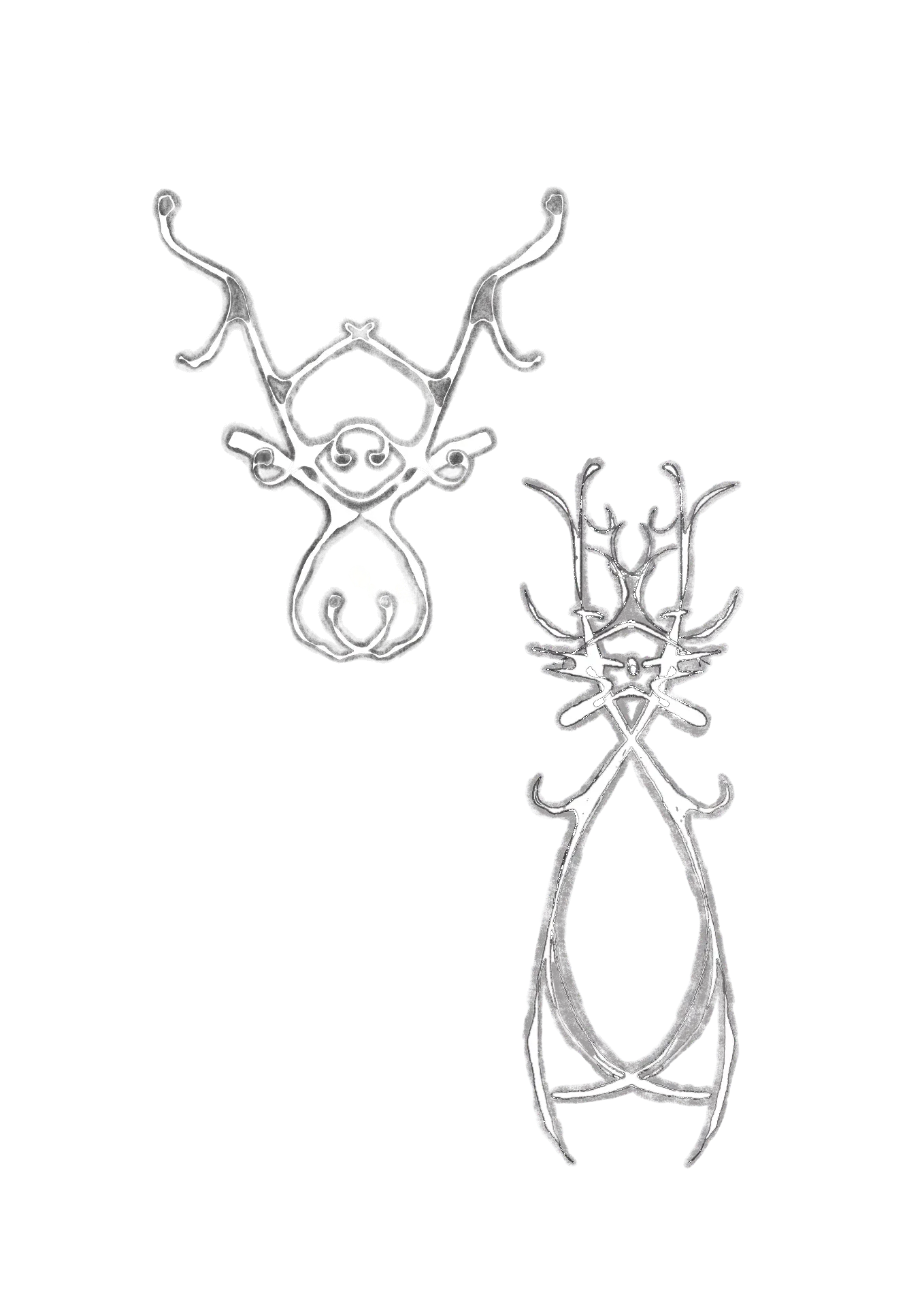 Two symmetrical antlered creature forms