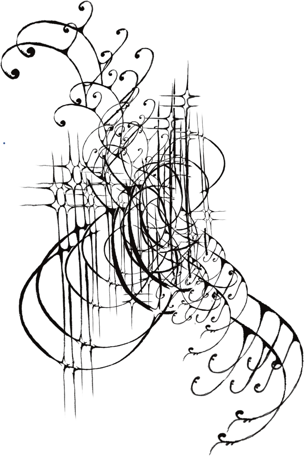 Calligraphic ink drawing with long flourishes